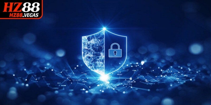 Quy trình thu thập và sử dụng dữ liệu đối với chính sách bảo mật